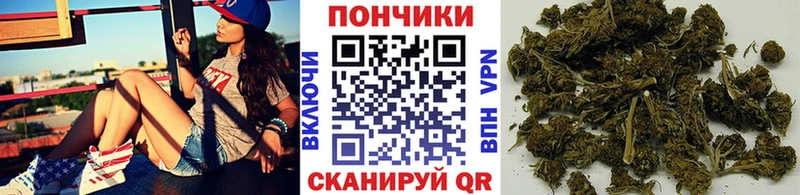 Где купить Элиста Альфа ПВП  МЕФ  ГАШ  ОМГ ОМГ ONION  Канабис 