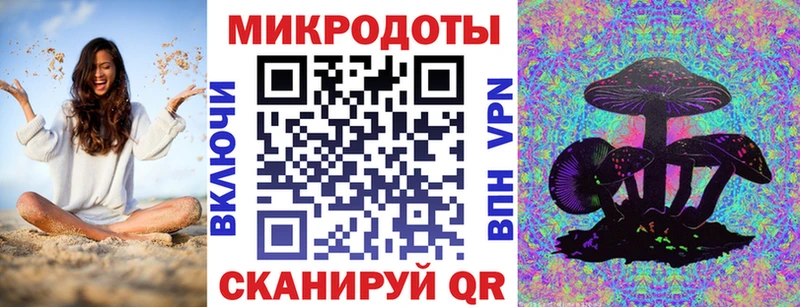 Галлюциногенные грибы Psilocybe  Элиста 
