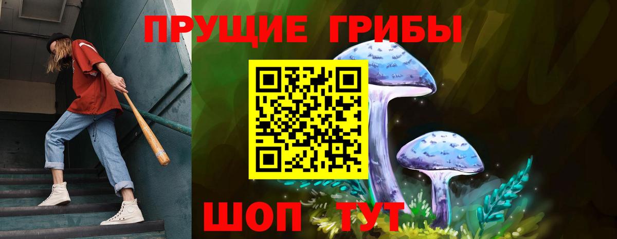 Элиста  Галлюциногенные грибы мухоморы  Псилоцибиновые грибы Cubensis  Вход с VPN 