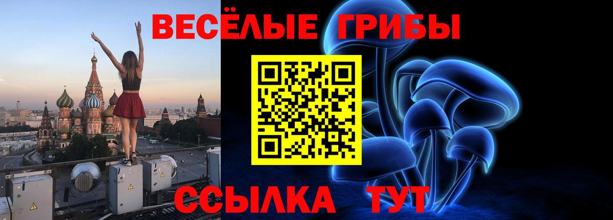 Псилоцибиновые грибы прущие грибы Элиста